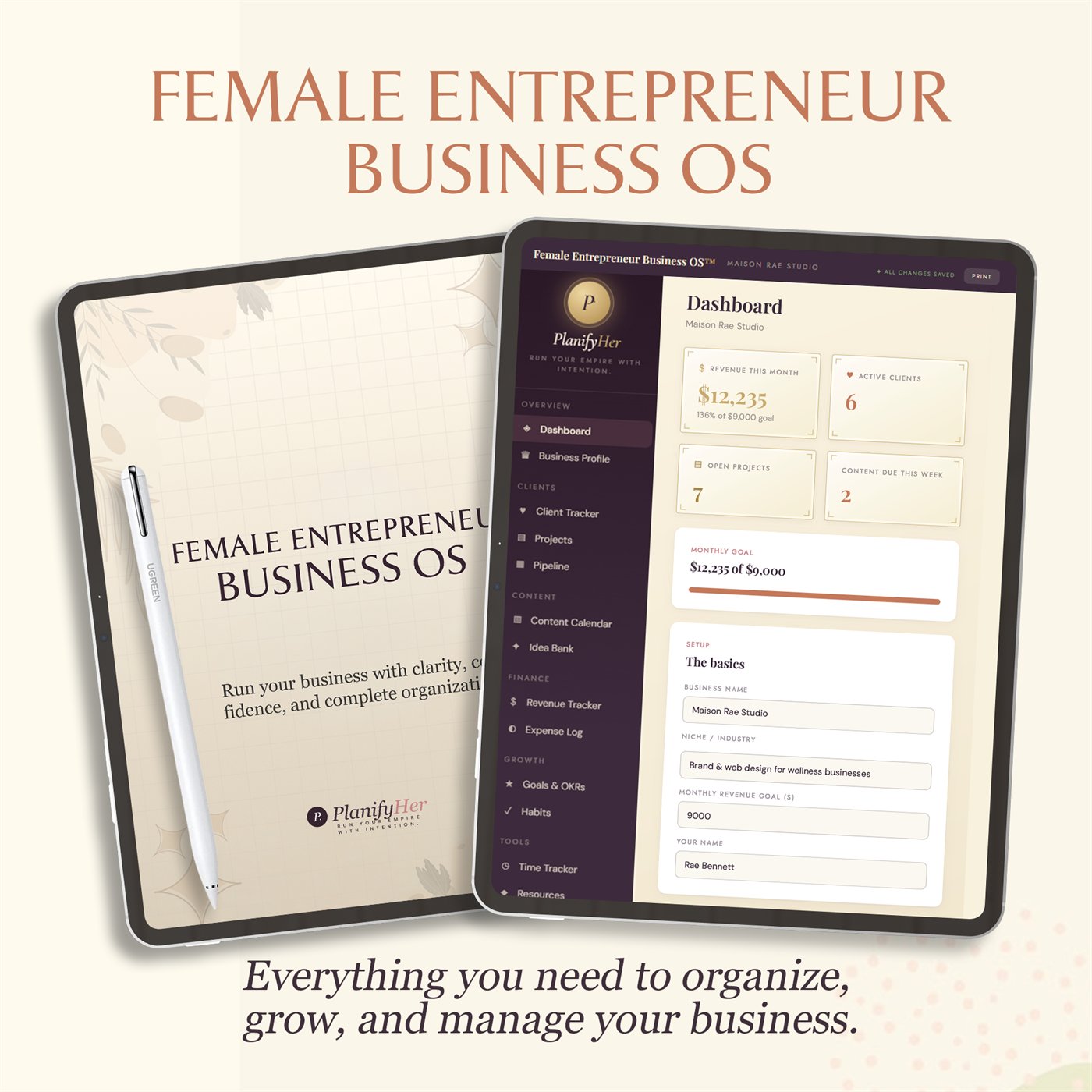 Female Entrepreneur Business OS™ enlarged product preview
