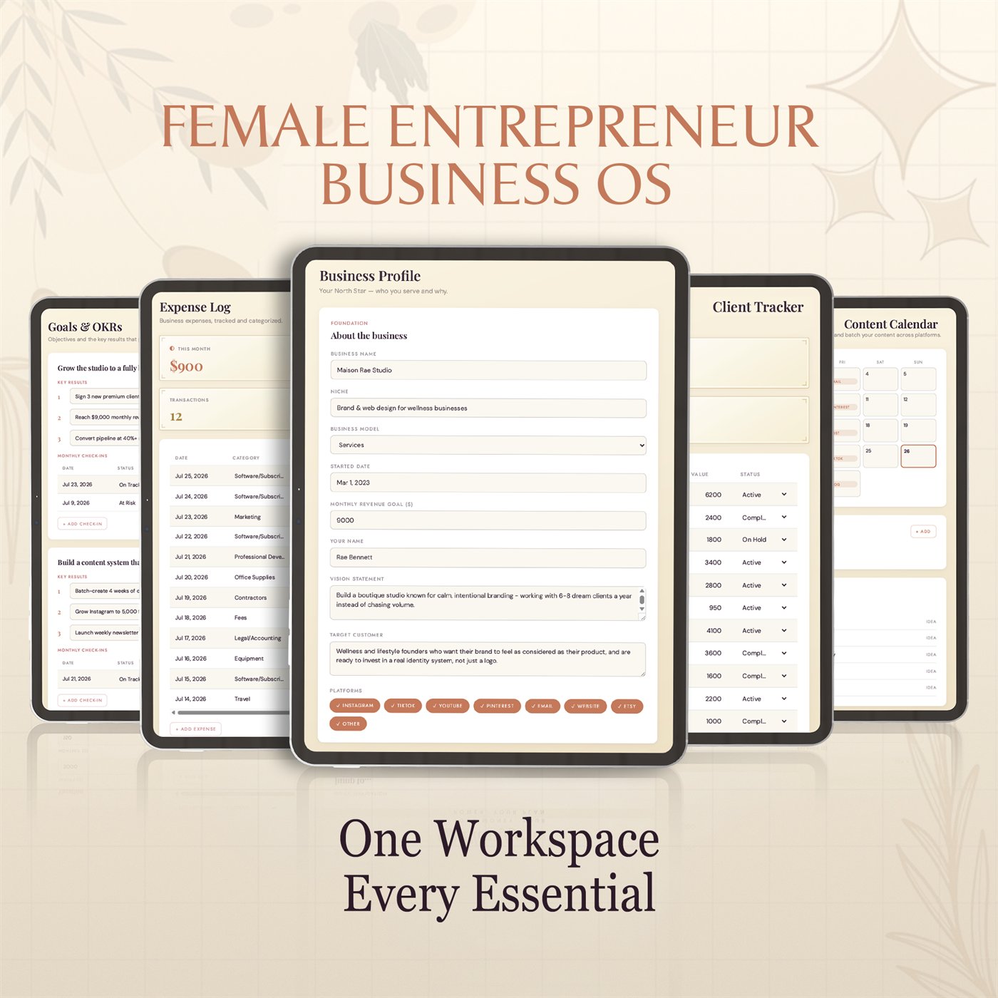 Female Entrepreneur Business OS™ product preview 6 of 10