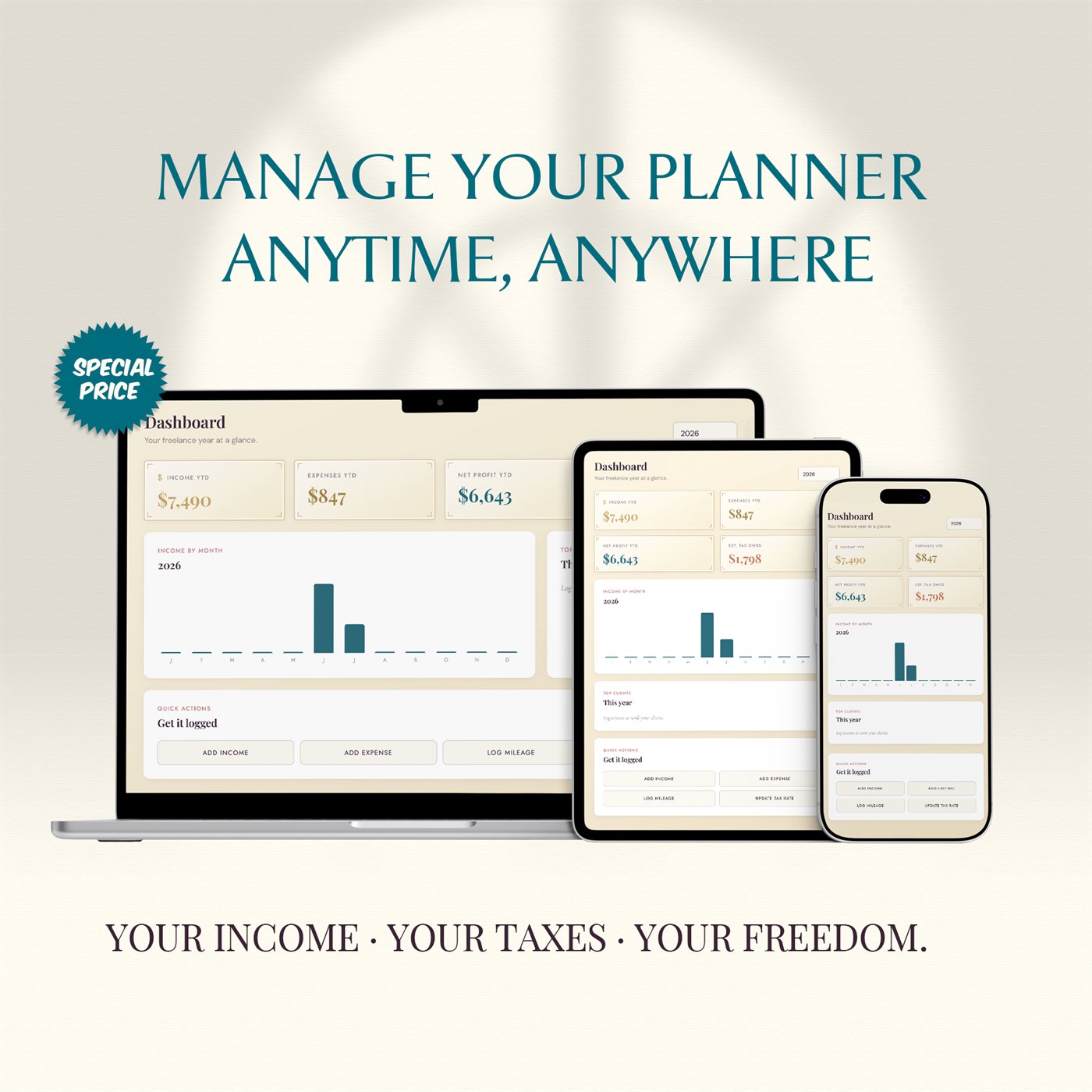 Freelancer Tax & Income Dashboard™ product preview 7 of 10